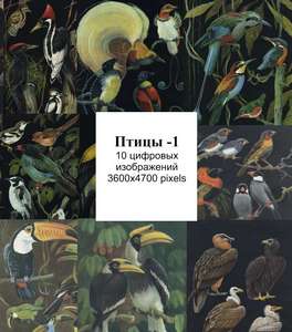 птицы -1  рисунки в цифровом формате